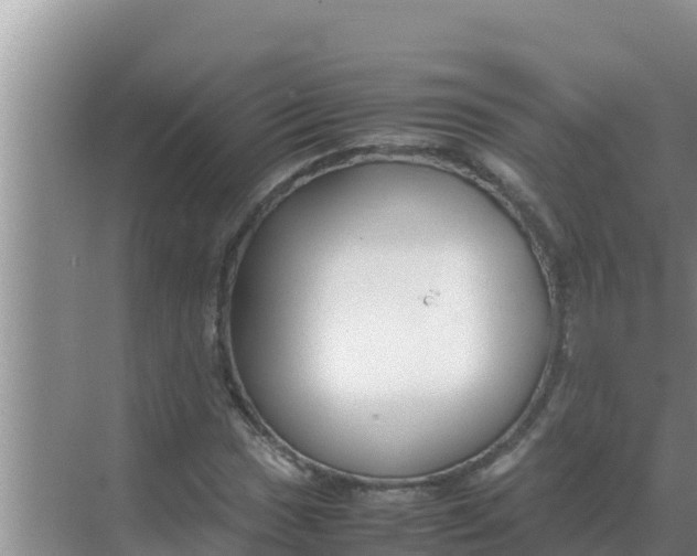 X0000069391017200605262111