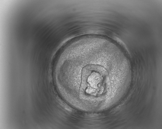 X0000069391019200605262111