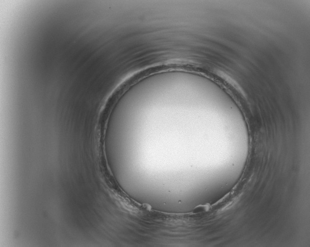 X0000069391021200605262111