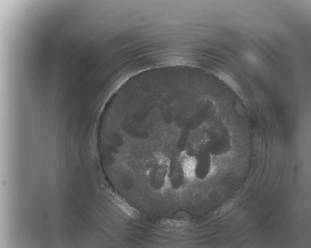 X0000069391023200605262111