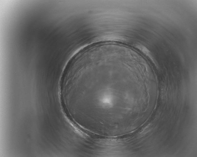 X0000069391024200605262111