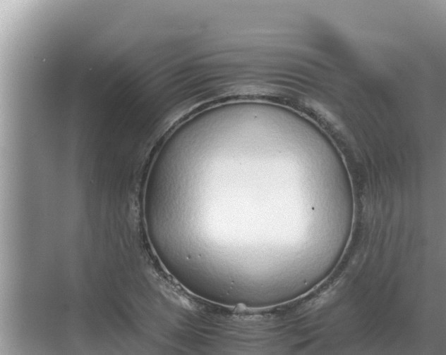 X0000069391025200605262111