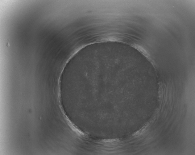 X0000069391031200605262111