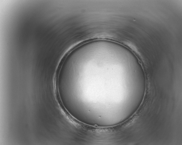 X0000069391032200605262111