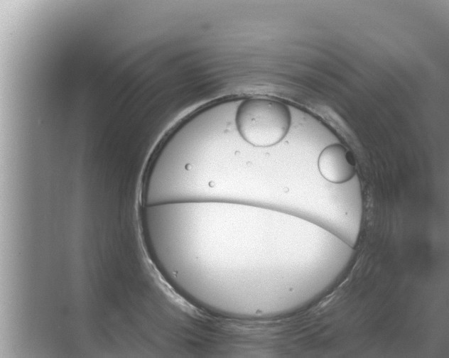 X0000069391036200605262111