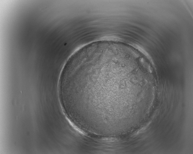 X0000069391037200605262111