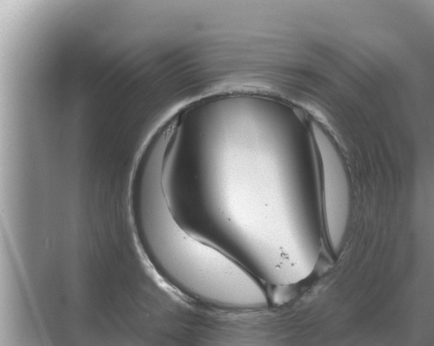 X0000069391038200605262111