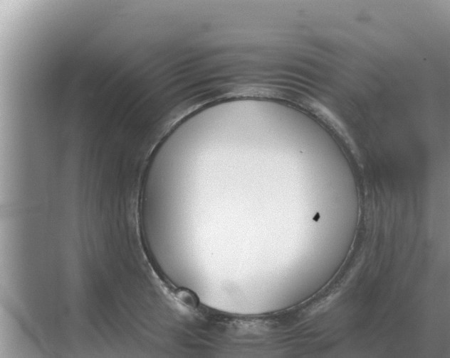 X0000069391041200605262111