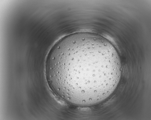 X0000069391043200605262111