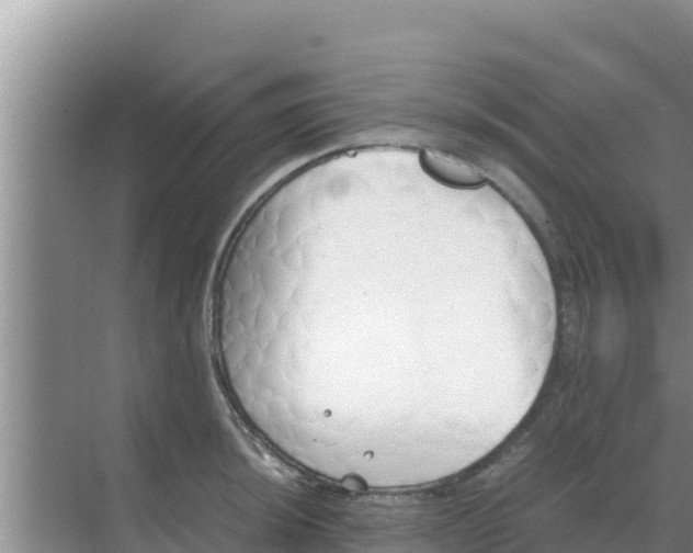 X0000069391044200605262111