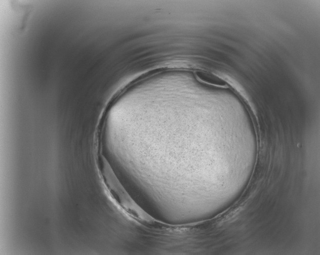 X0000069391045200605262111