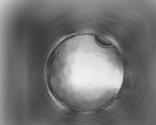 X0000069391047200605262111