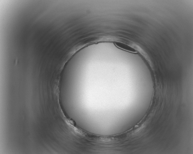 X0000069391049200605262111