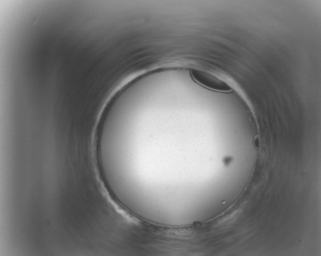 X0000069391053200605262111