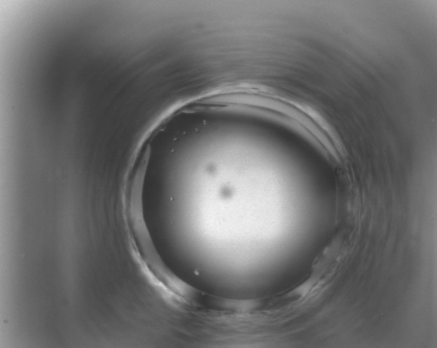 X0000069391054200605262111