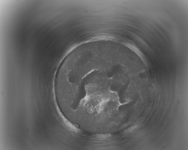 X0000069391055200605262111