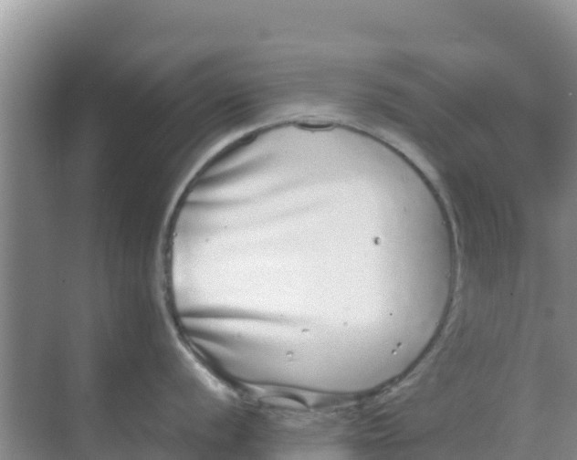 X0000069391056200605262111