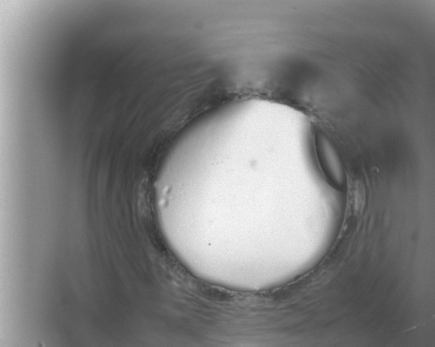 X0000069391059200605262110