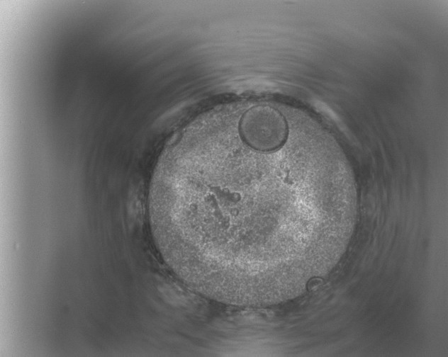 X0000069391063200605262110