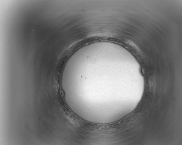 X0000069391064200605262110