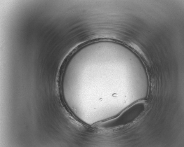 X0000069391068200605262110