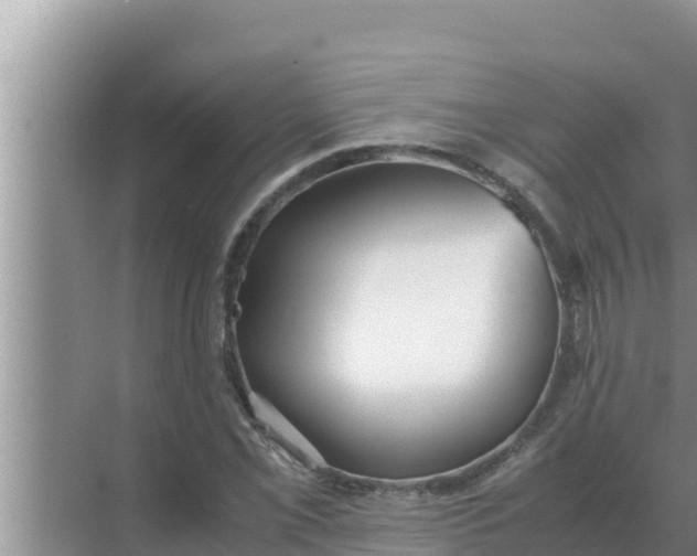 X0000069391069200605262110