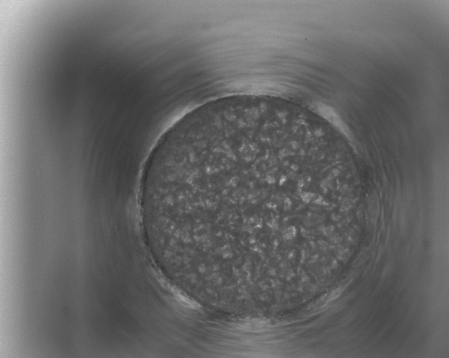 X0000069391071200605262110