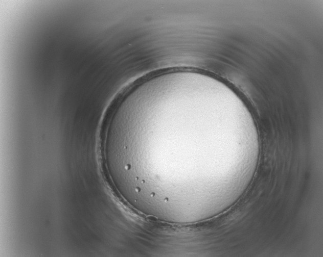 X0000069391072200605262110