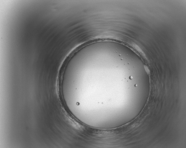 X0000069391076200605262110