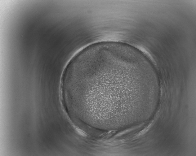 X0000069391077200605262110