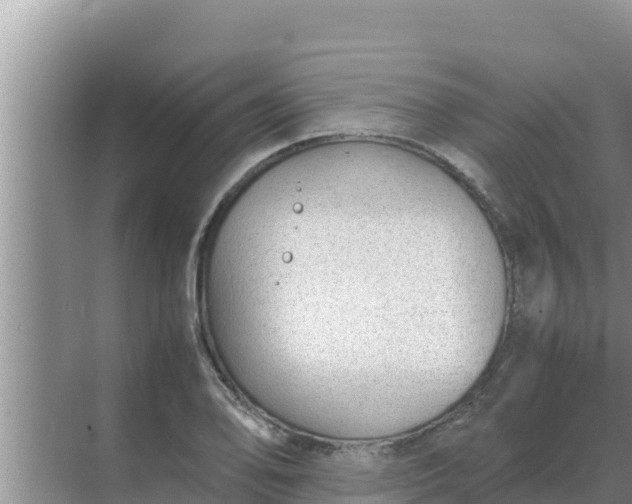 X0000069391078200605262110