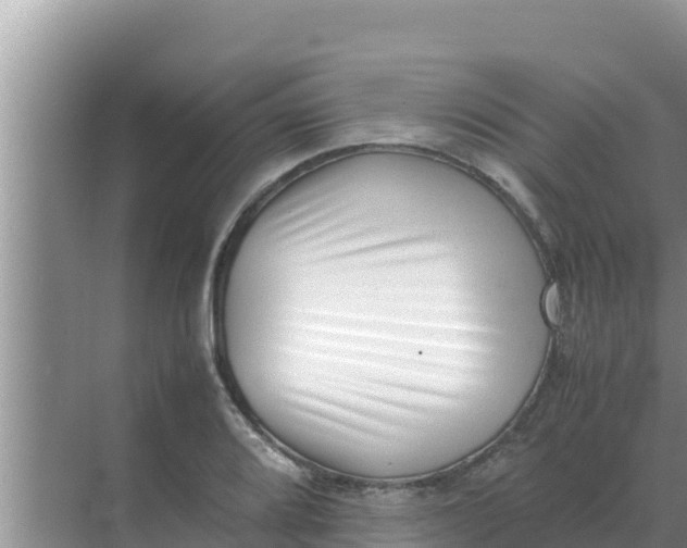 X0000069391080200605262110