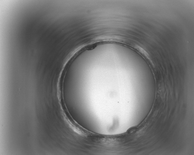 X0000069391082200605262110