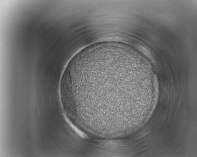 X0000069391084200605262110