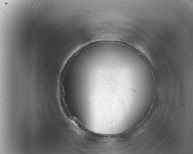 X0000069391085200605262110