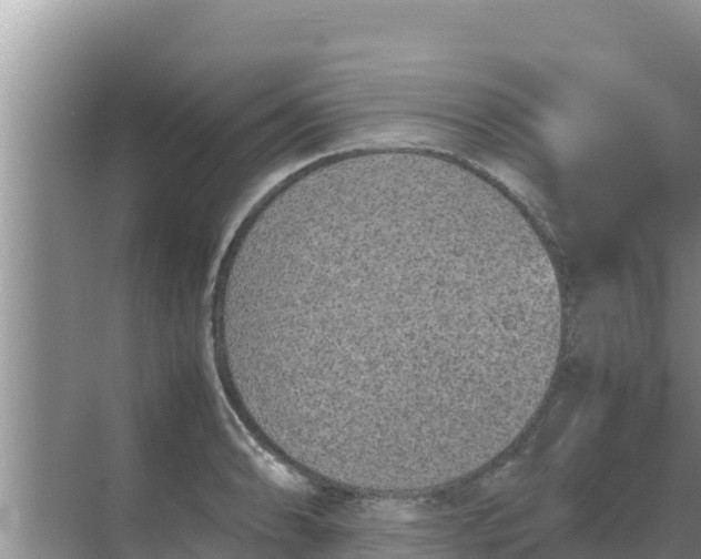 X0000069391086200605262110