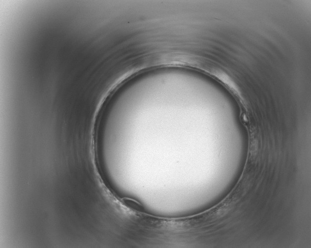 X0000069391088200605262110