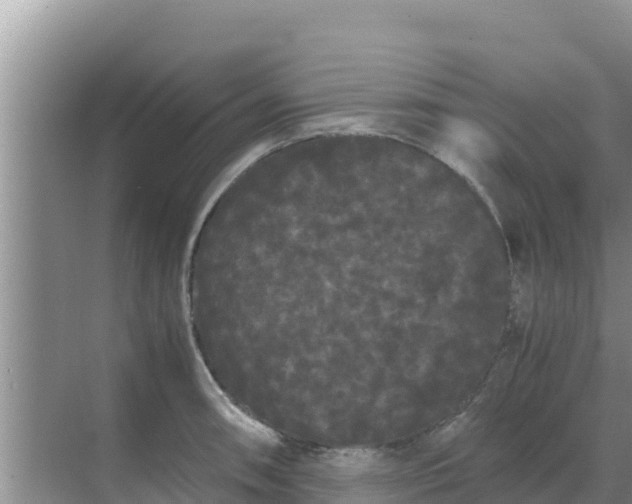 X0000069391090200605262110