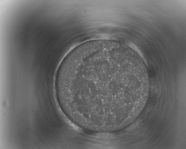 X0000069391091200605262110