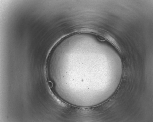 X0000069391092200605262110