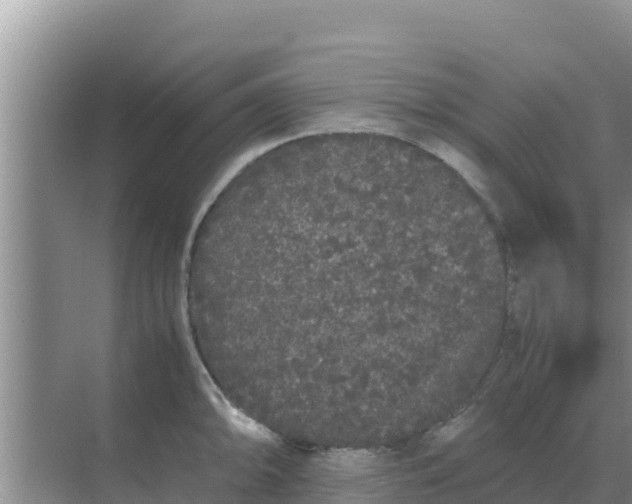 X0000069391094200605262110