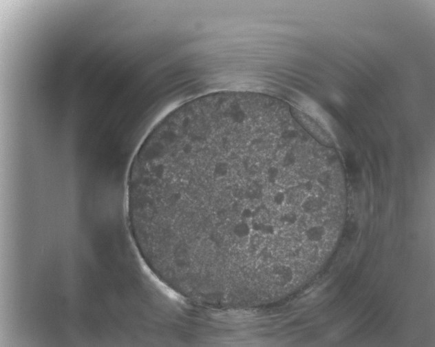 X0000069391095200605262110