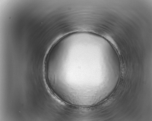 X0000069391096200605262110