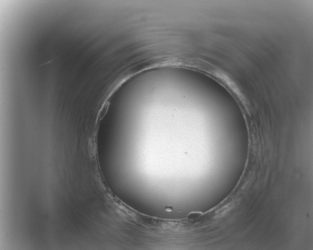 X0000069391097200605262110