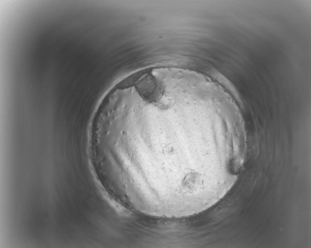 X0000069391099200605262110