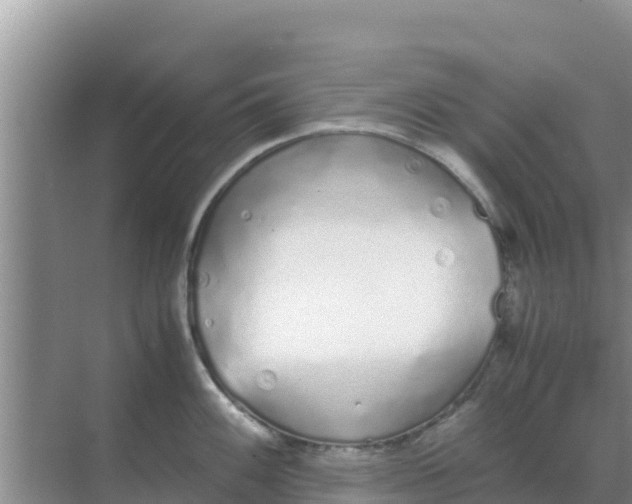 X0000069391100200605262110