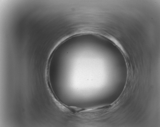 X0000069391101200605262110