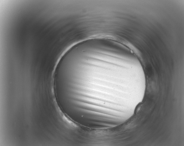 X0000069391102200605262110