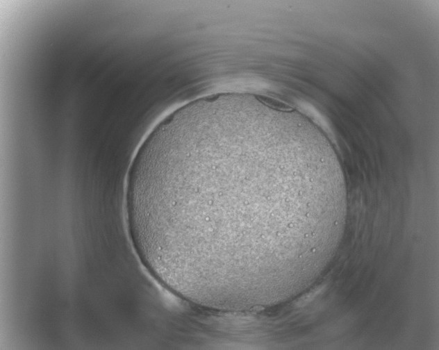 X0000069391103200605262110