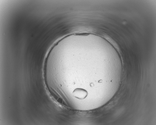 X0000069391104200605262110